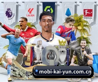 mobi-kai-yun.com.cn APP | kaiyun app